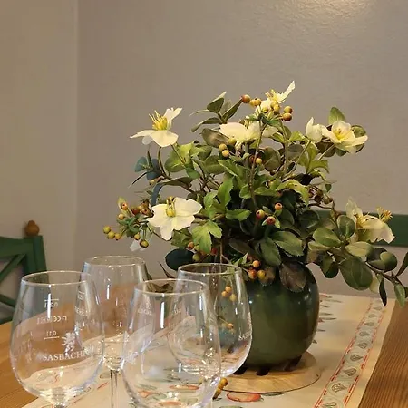 Ferienhaus-winzerhaus Sasbach Prázdninový dům Sasbach am Kaiserstuhl